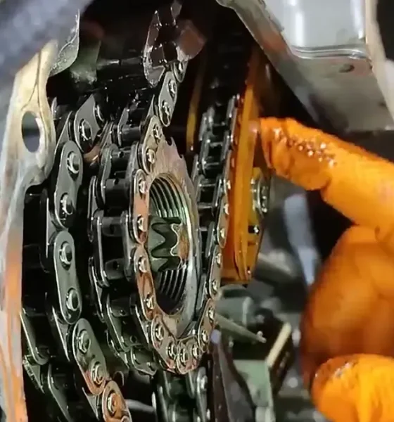 Conservar la correa de distribución